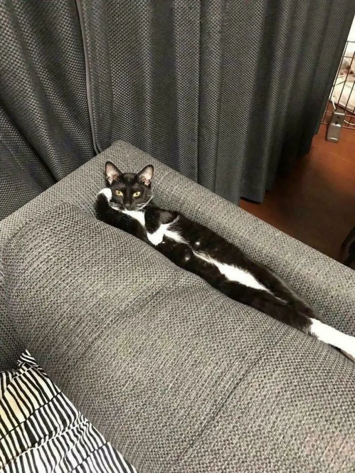 «Ну рассказывай, что там у тебя случилось».