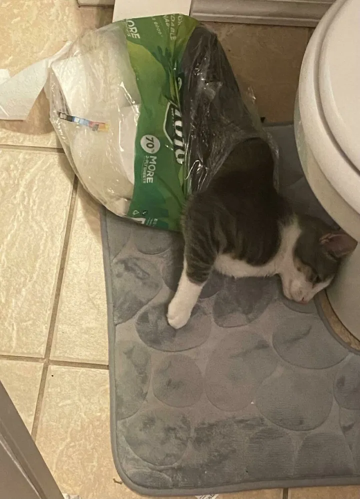 Играл с пакетом и проиграл.