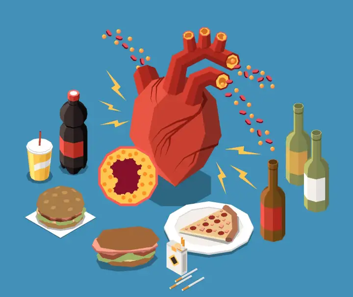 Высокий холестерин приводит к закупориванию сосудов.