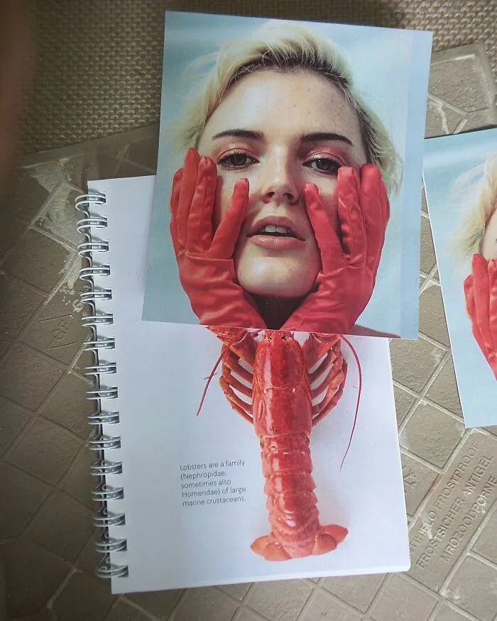 «Извините, у вас омар на лице».