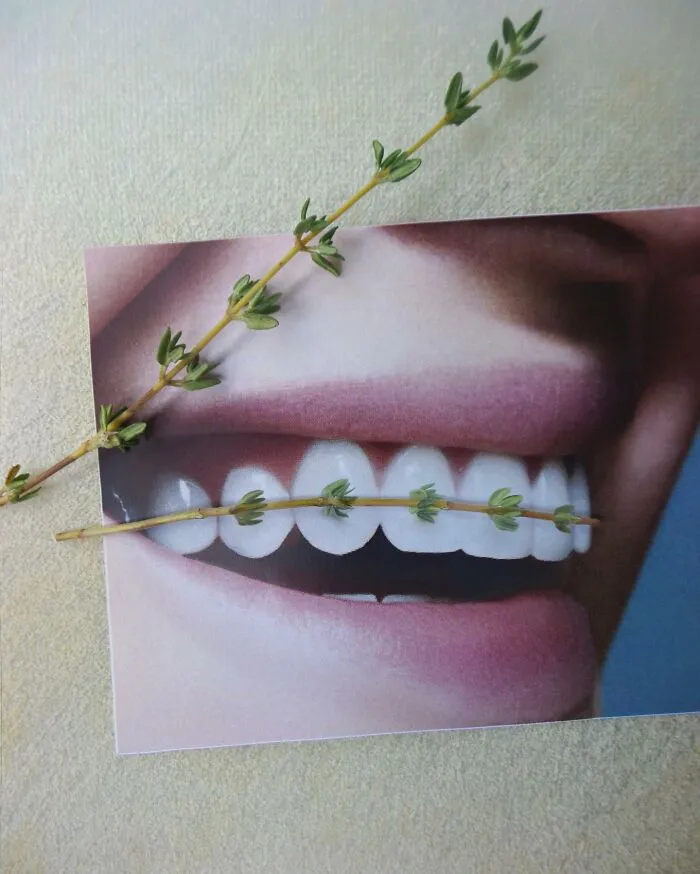 Тимьяновые брекеты.