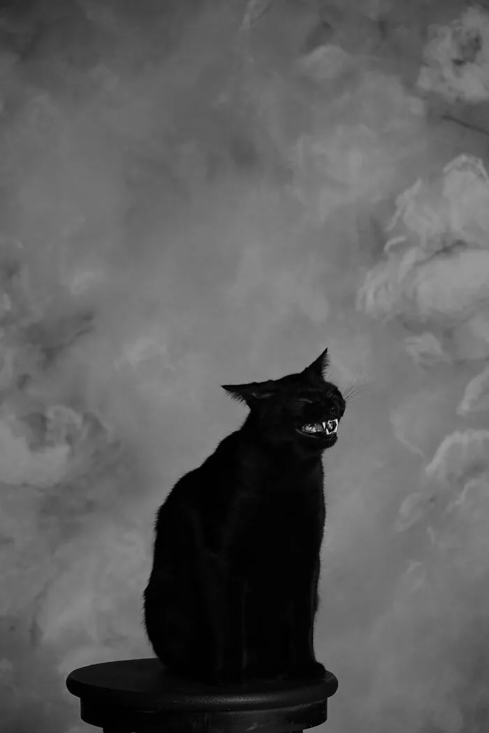 «Очень фотогеничный».