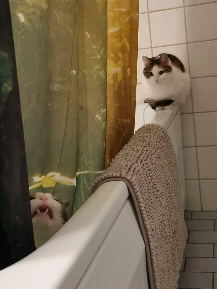 «По крайней мере один из них нормальный».