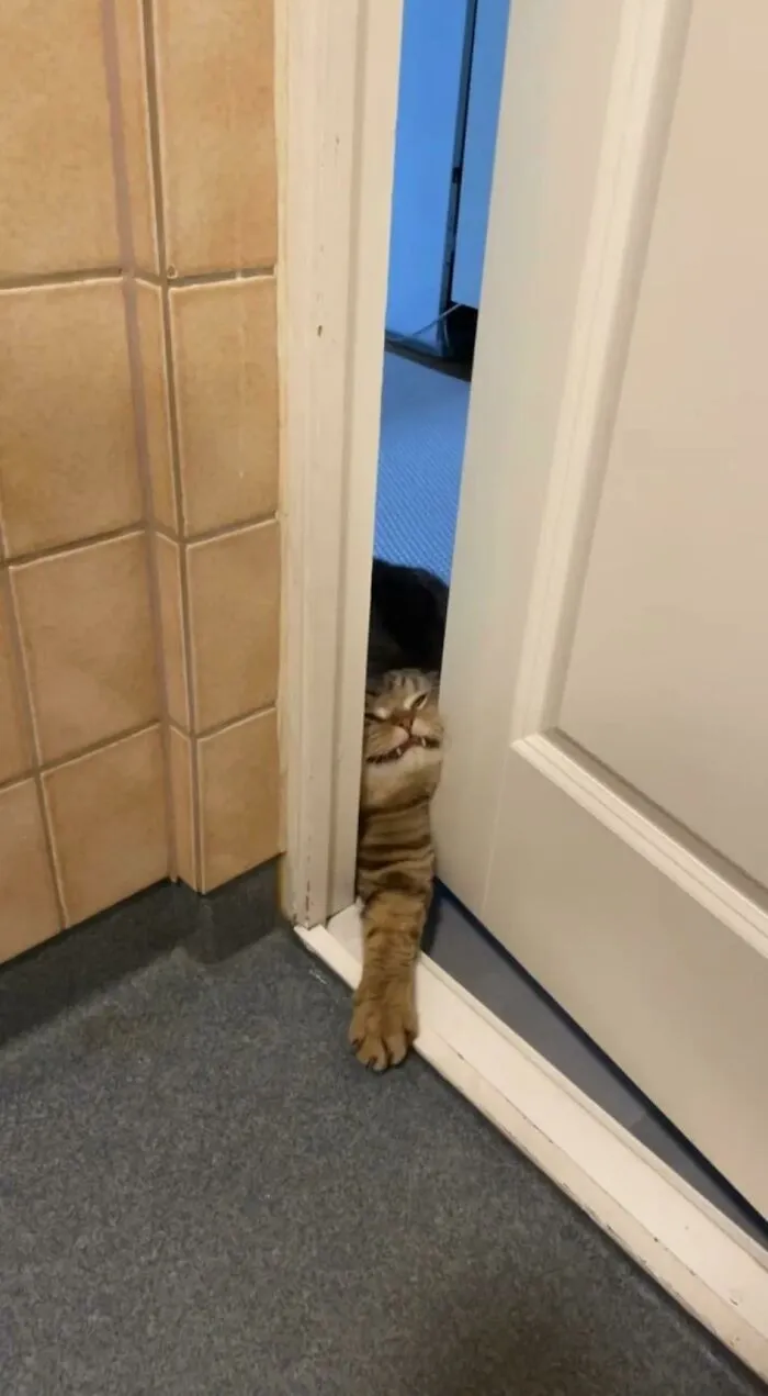 «Немедленно впусти меня!»