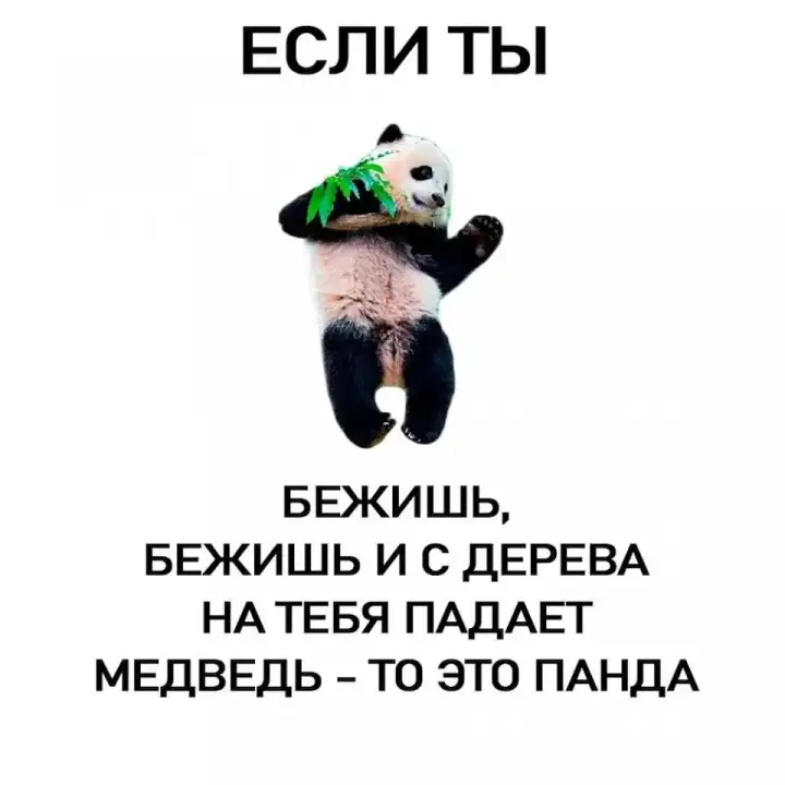 Как отличить панду.