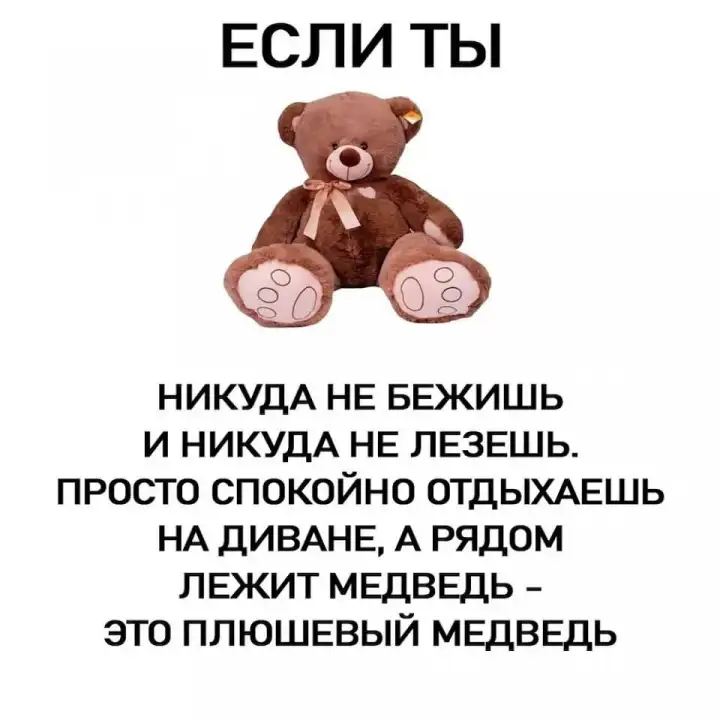 Как отличить плюшевого медведя.