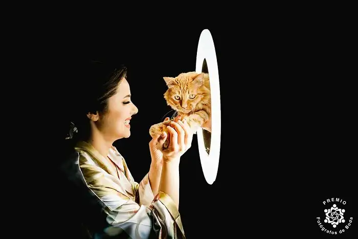 Лучшая подруга невесты одобряет этот важный день — лапки и всё такое.