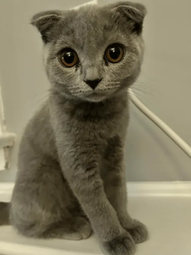 «Присматривал за этим малышом  на прошлых выходных. Я не хотел его возвращать!»