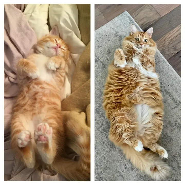 «8 недель против 8 лет»