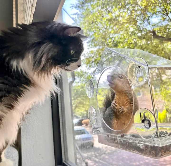 «Ежедневное противостояние».