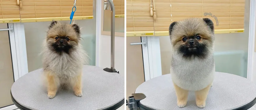 Очень милый маленький джентльмен.