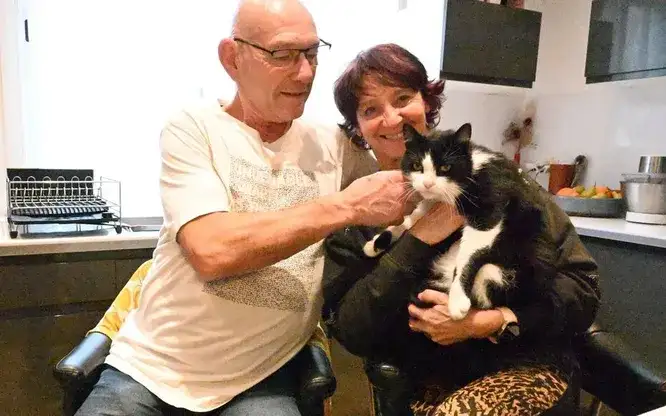 Кот Филу с семьёй.