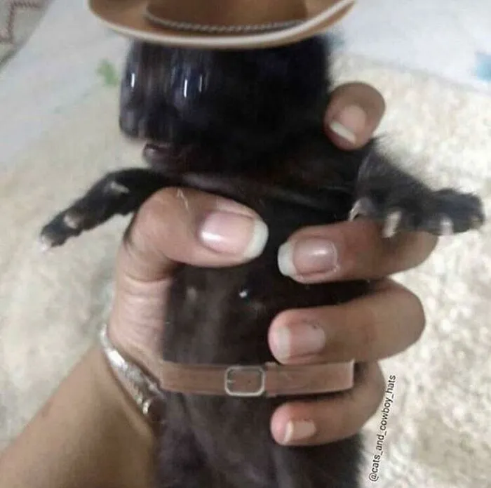 Маленький ковбой.