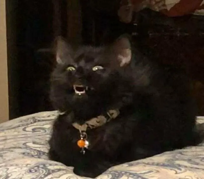 Зловещий смех.