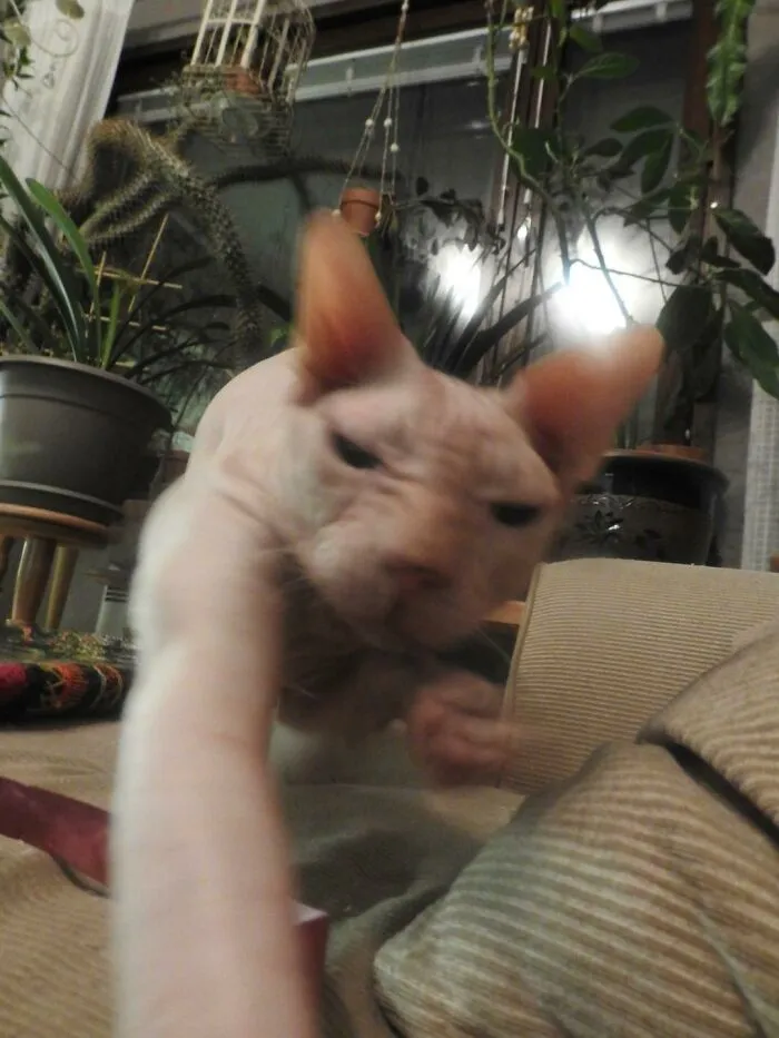 «Выруби уже свою камеру».