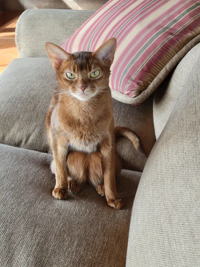 «Её любимая поза».