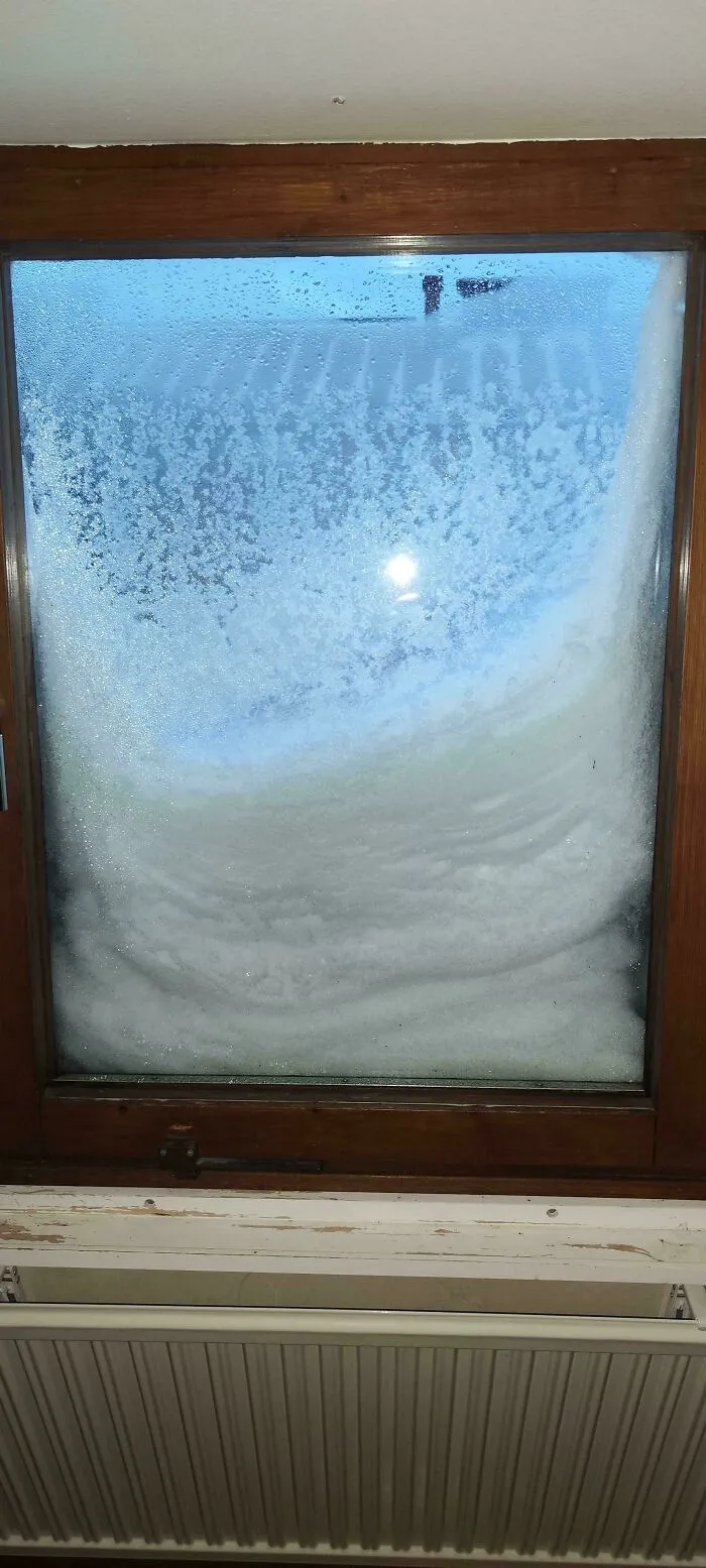 «Кажется, сегодня мы из дома не выйдем».