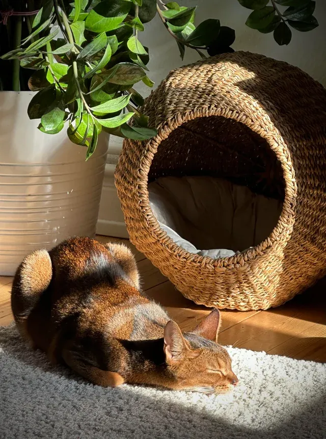 Солнечные ванны.