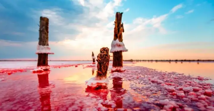 Озеро Сасык-Сиваш.