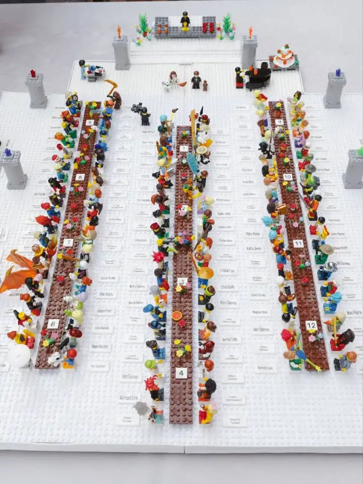 Общий вид на оригинальную рассадку.