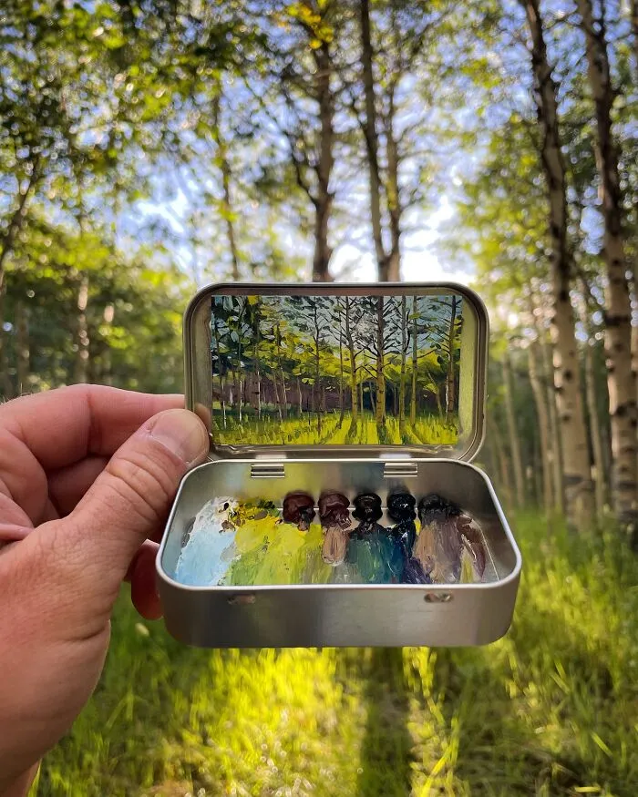 Летний лес.