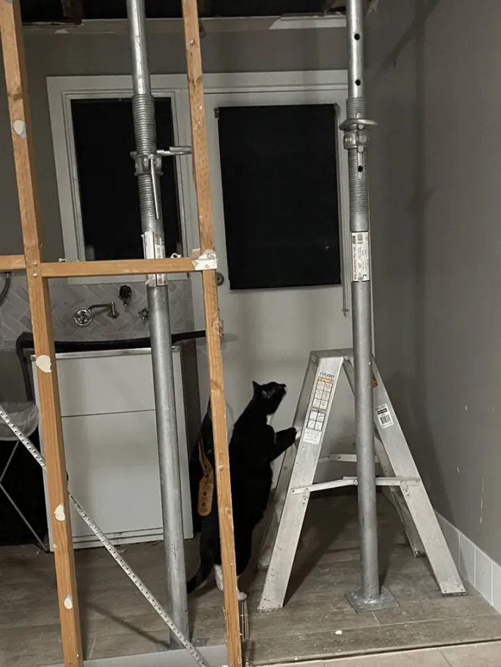 «Строительный инспектор».