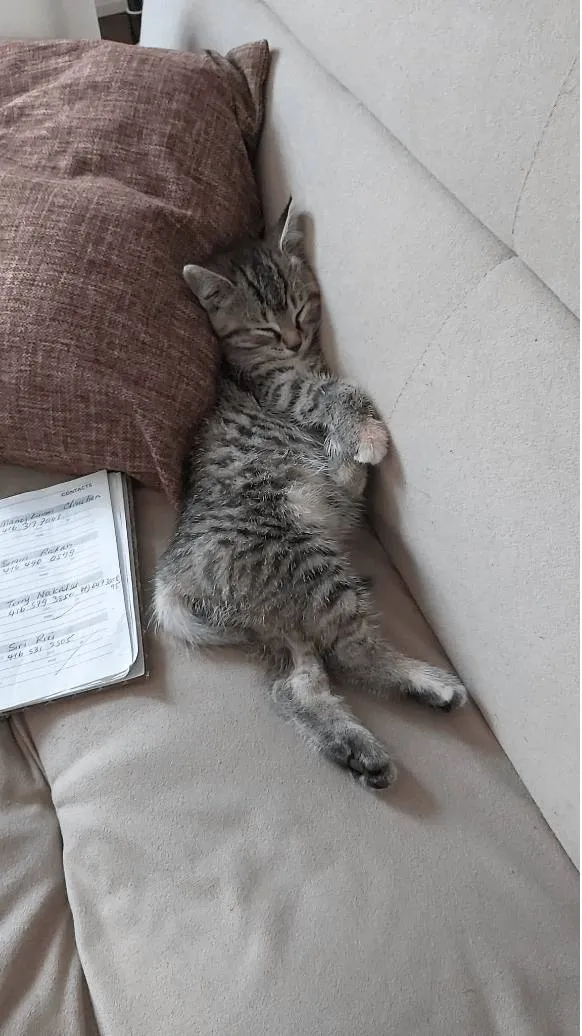 «Терри пытается стать танцовщицей».