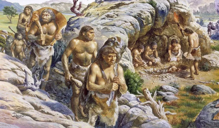 Судя по всему, наши предки когда-то отделились от других людей.