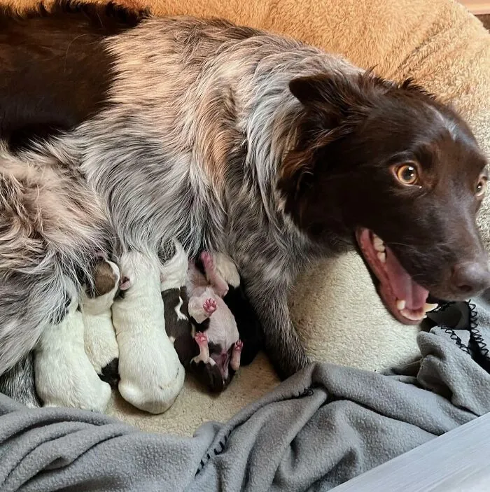 «Сообщение от дочери 