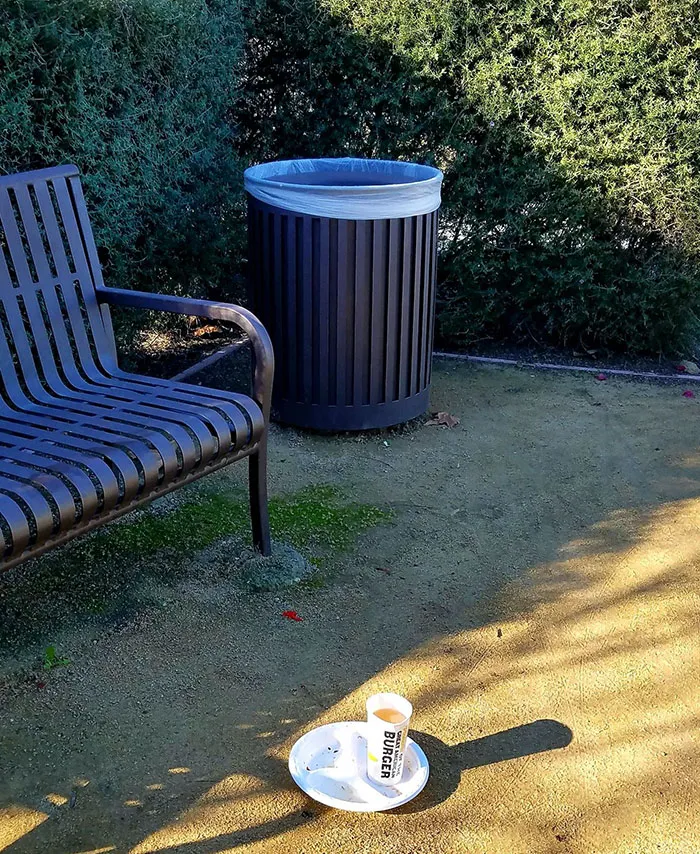 А ведь мусорный бак стоит совсем рядом.