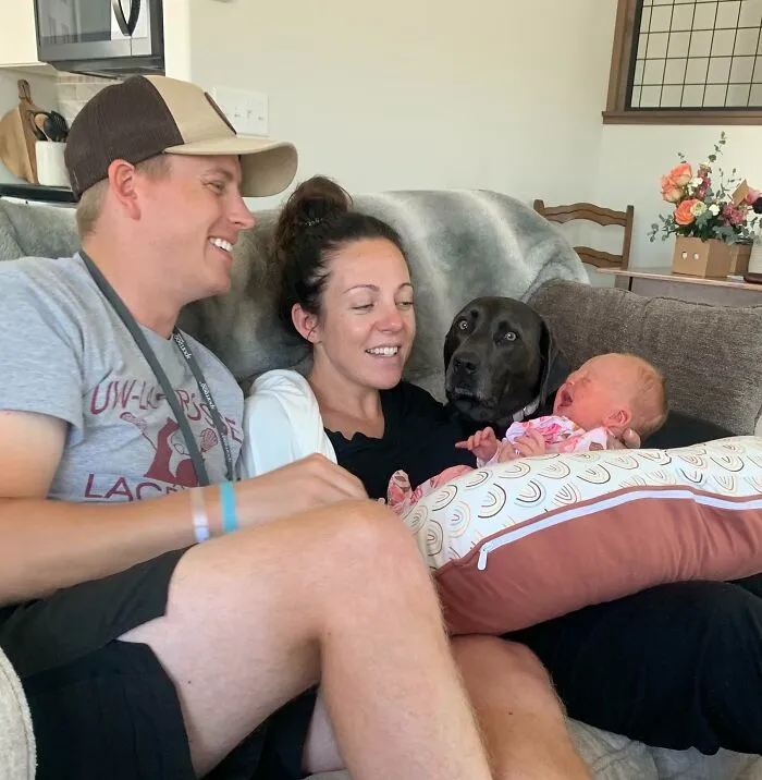 «Реакция нашей собаки на крошечного человечка».