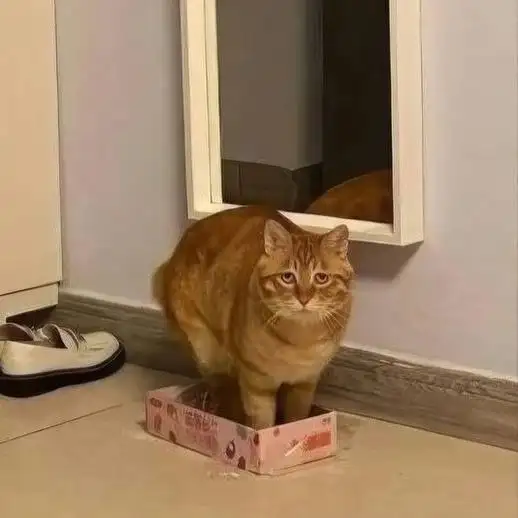 «Я — дикий зверь, потомок саблезутых тигров!