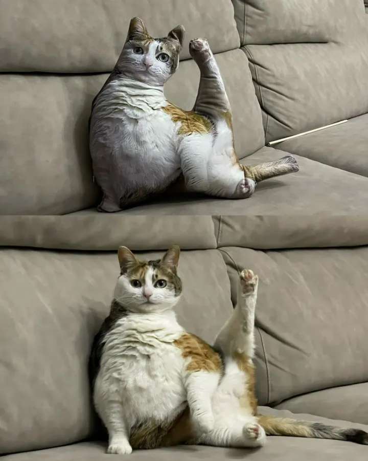 Добрый вечер.