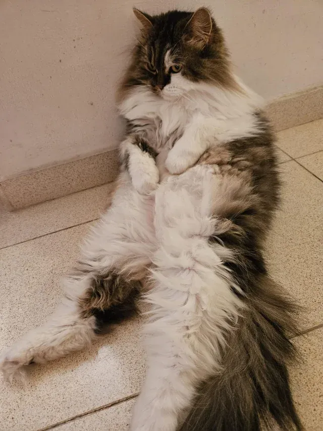 «Жизнь тяжела».