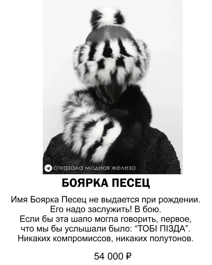 Боярка песец.