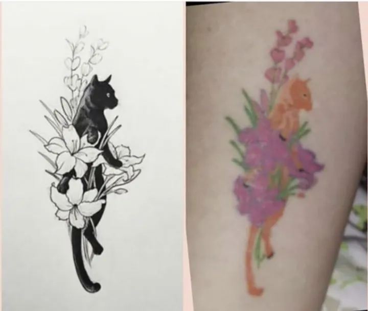 Иногда черные кошки выглядят удачнее, чем яркие.