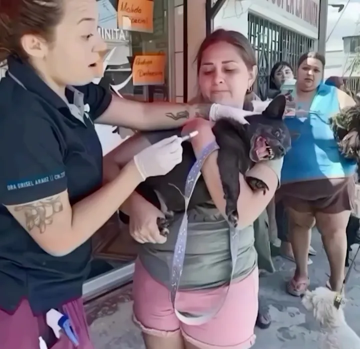 Так много вопросов...