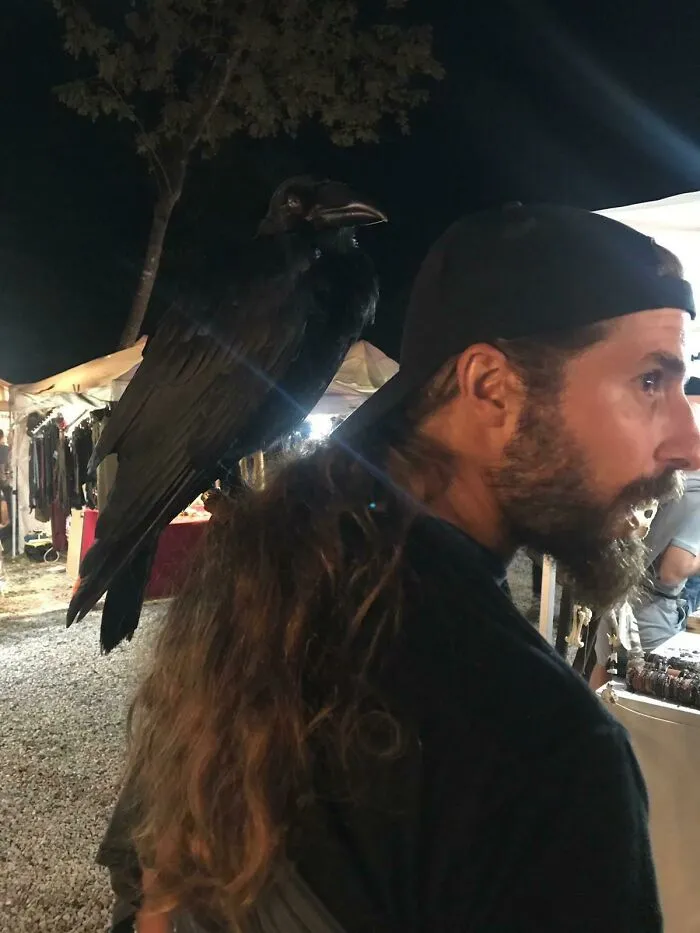 «Нашел этого парня на кельтском фестивале. Вороне 3 месяца!»