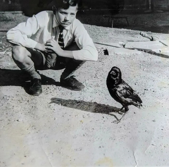 «В детстве у моего папы была домашняя ворона».