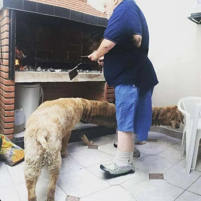 Ох уж эти панорамные снимки.