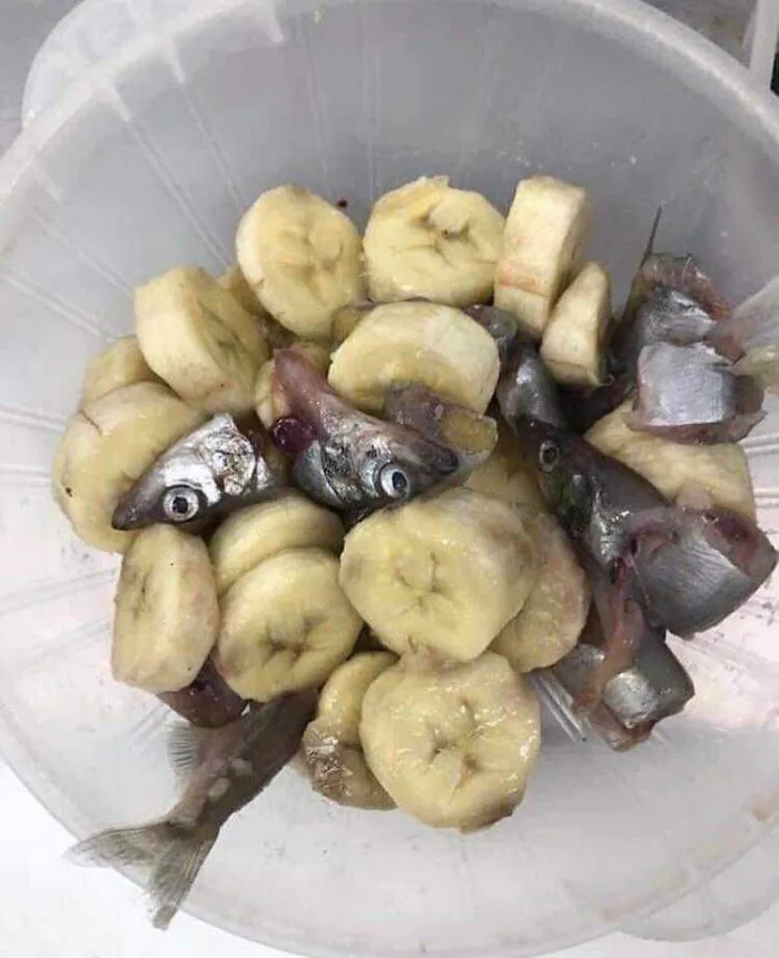 Какой ужас.