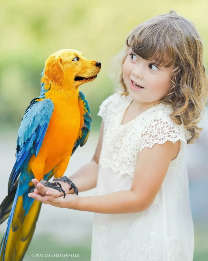 Щенок и попугай.