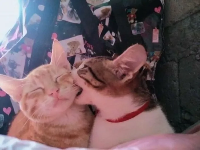 Любовный кусь.