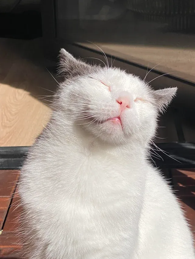 «Принимает тепло».