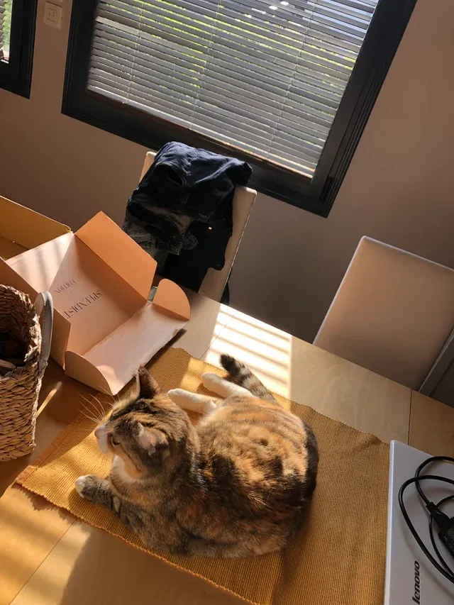 «Ей нельзя за этот стол».