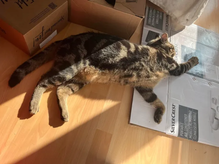 «Приветствует солнце».