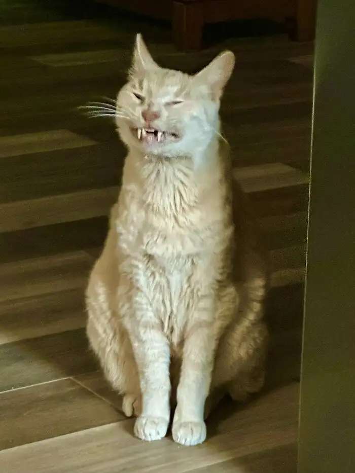 «Ы-ы-ы-ы-ы».