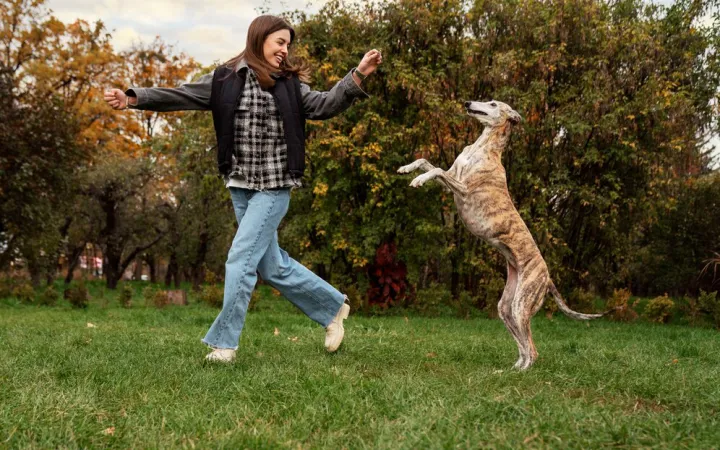 Хозяйка с собакой.