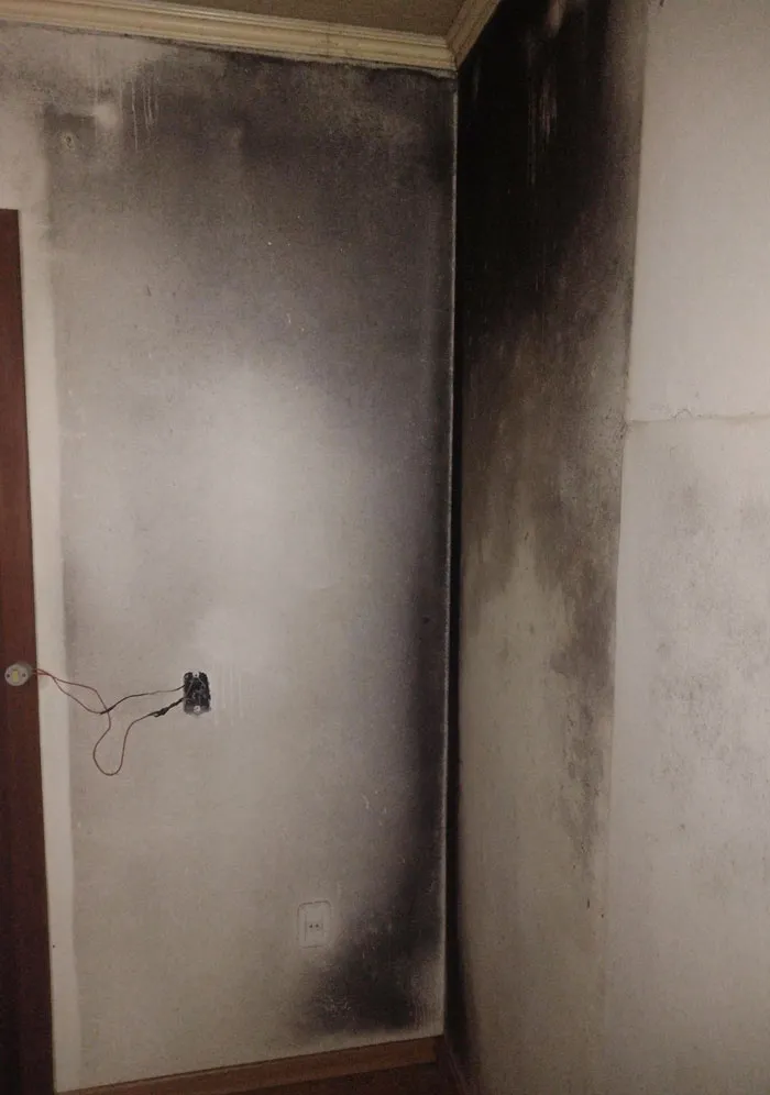 «Вчера нашел это за шкафом. У меня сильная аллергия на плесень».