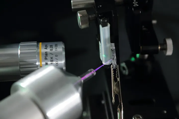 Плазменная струя сделана из гелия, который создает фиолетовое свечение. 